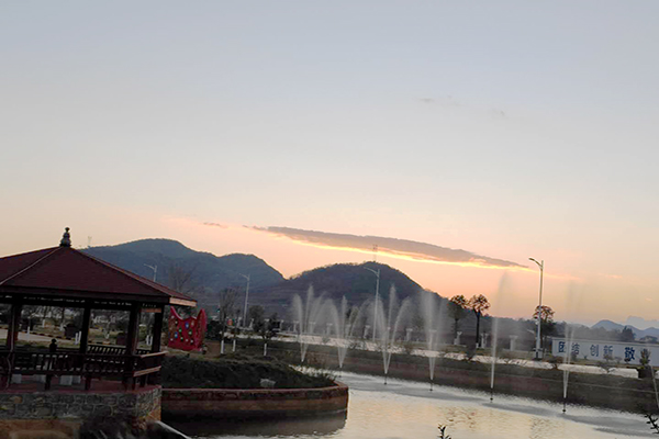 1585384451699414.jpg 圖2.jpg