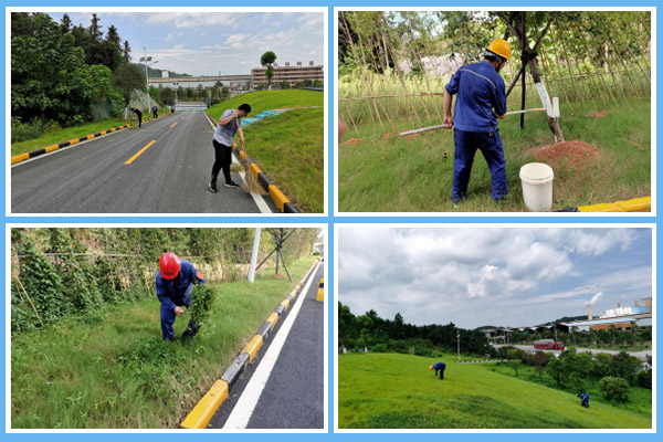 1597630021293858.jpg 1.jpg