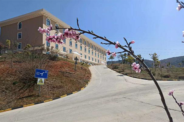 1606787156248988.png 圖片4.png