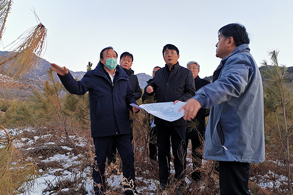 1609307962742495.jpg 44.jpg