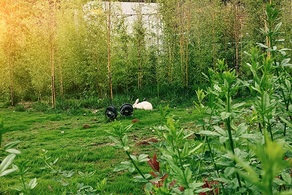 1626341393359256.jpg 2.jpg