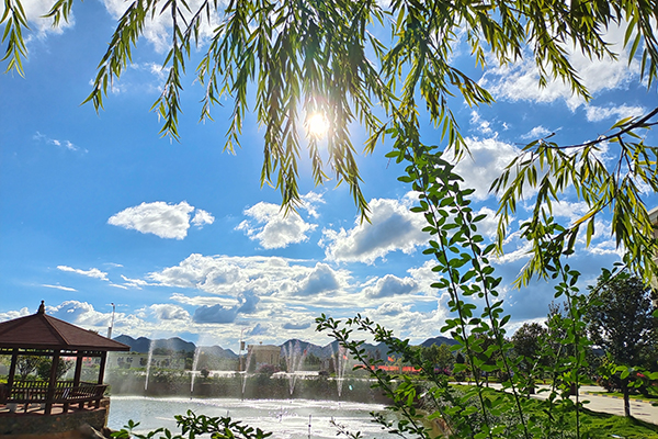 1635412310926064.png 圖片1.png