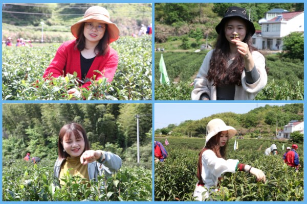 1682646365508867.png 圖片6.png