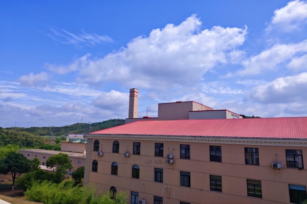 1717473377934678.jpg 漫畫(huà)里的金寨海創(chuàng  )(1).jpg