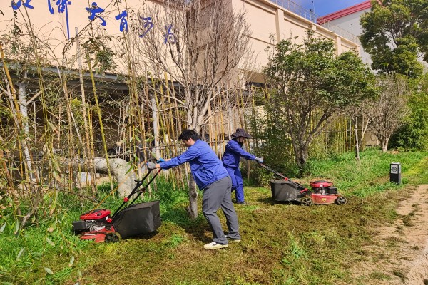 1739501689840110.jpg 1.jpg