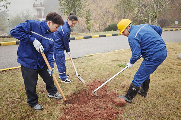 1744250155918462.jpg 挖樹(shù)坑600X400.jpg