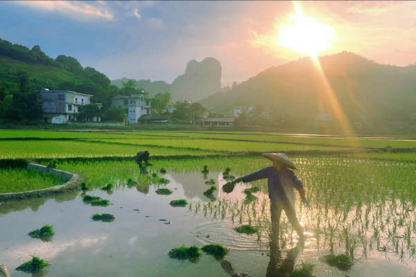 1747032778555921.png 圖片3.png