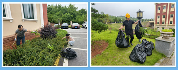 1750208245955578.png 1.png